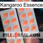 Kangaroo Essence 27